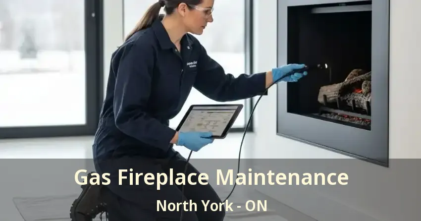 Gas Fireplace Maintenance North York - ON