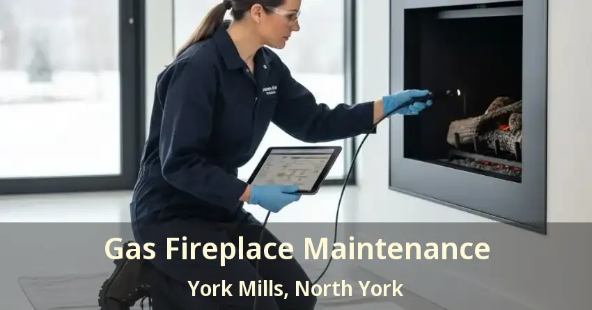 Gas Fireplace Maintenance York Mills, North York - ON