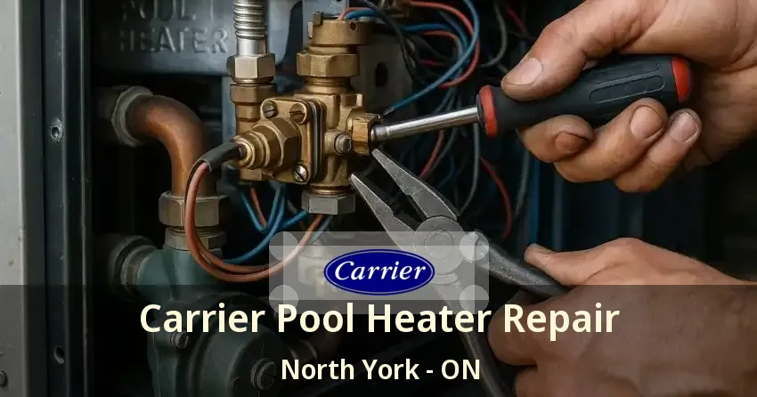 Carrier Pool Heater Repair North York - ON